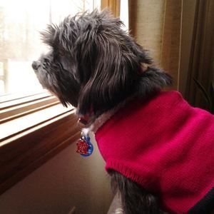 Meet your Posher, Cindi